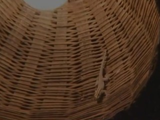 Very sinful sweethearts from Asia realize tortured together with fucked eternal